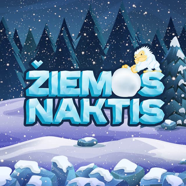 Žiemos naktis