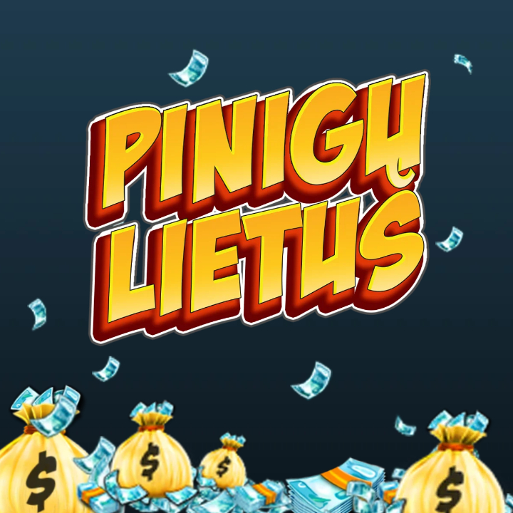 PINIGŲ LIETUS